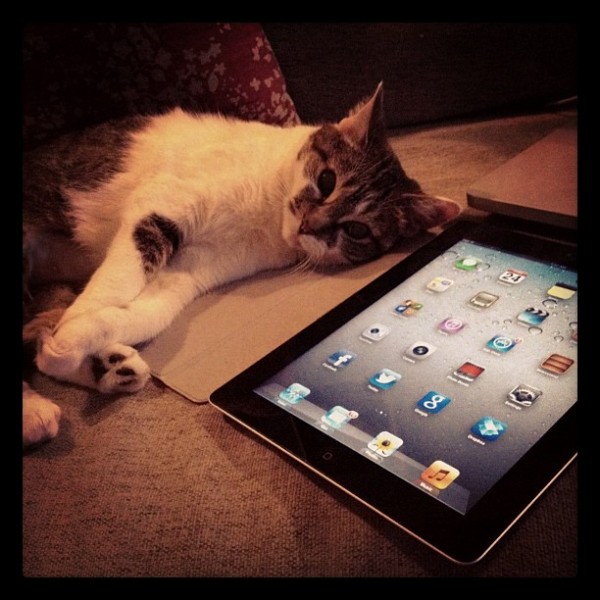 Mochi-ipad